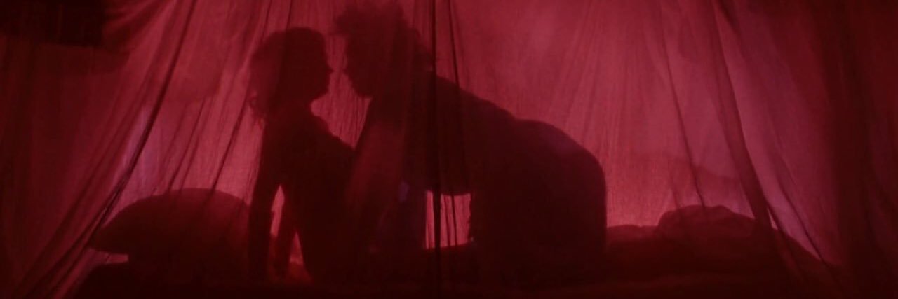 favrieI's profile banner image