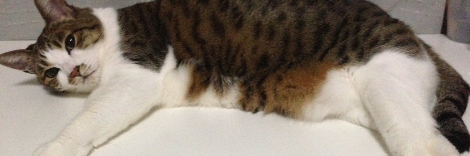 MGlaces's profile banner image