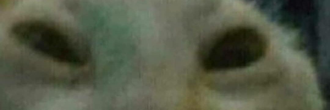 itznovaow's profile banner image