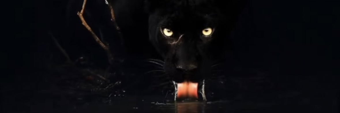 adrianboyd1's profile banner image