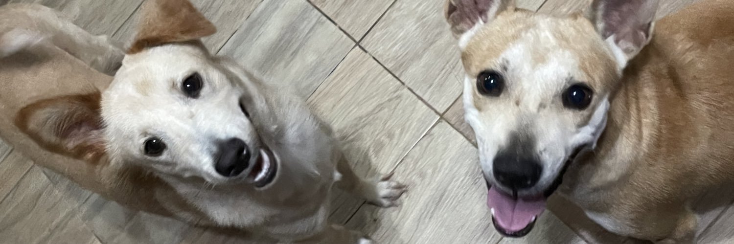geezeemar's profile banner image