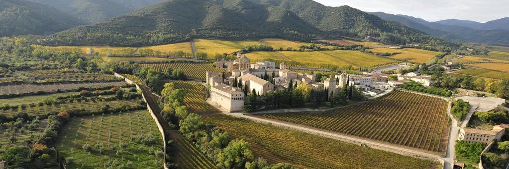 DO Conca de Barberà banner