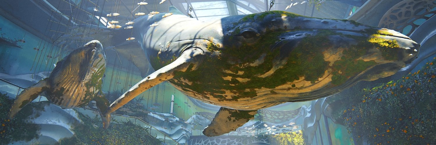 Nailos13's profile banner image
