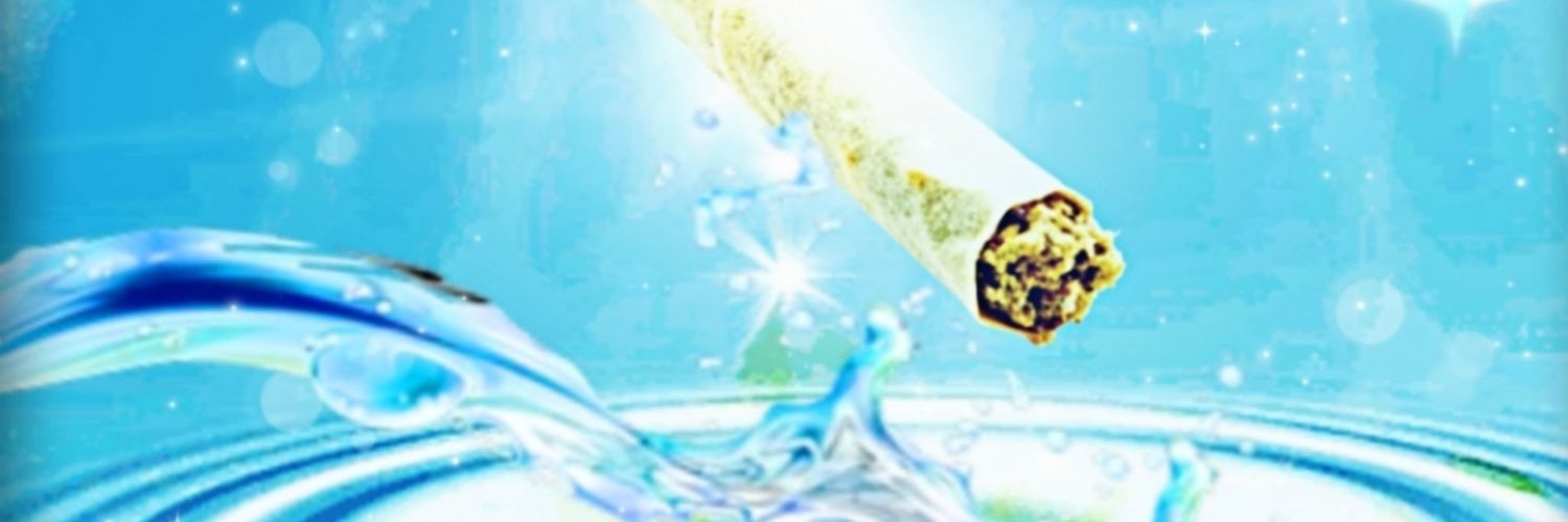 🍄 banner