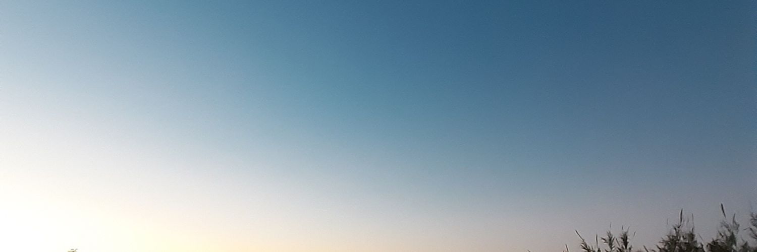 helena santos banner