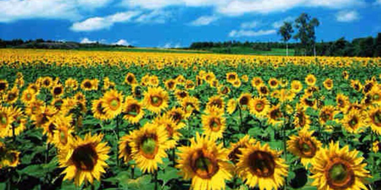ItsJessYount's profile banner image