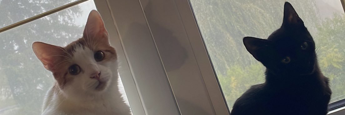 Idole des Connes banner