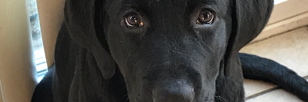 Mikeywonteatit's profile banner image