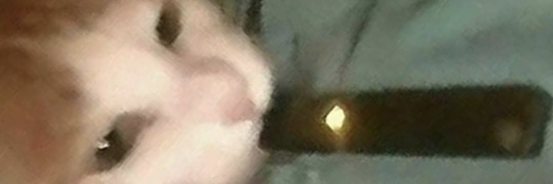 Girth Of Birth banner