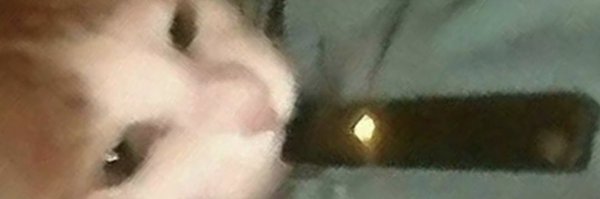 dumfook Profile Banner
