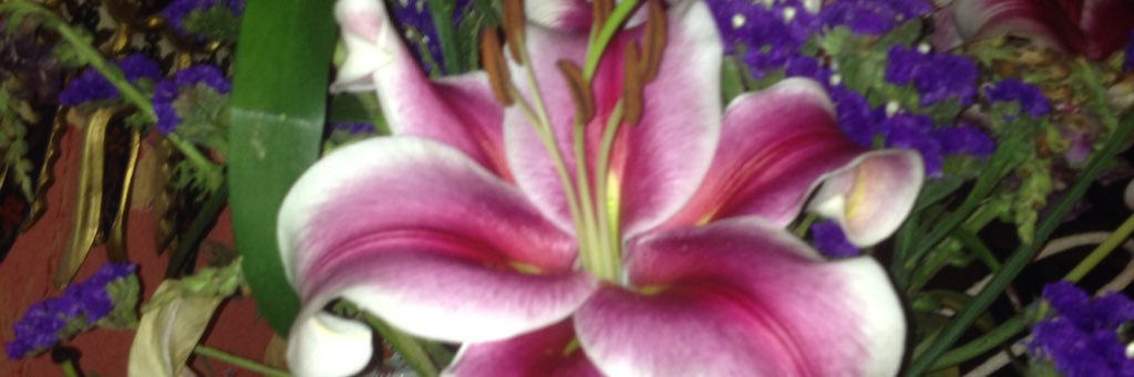 DianeATL's profile banner image