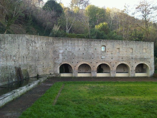 MacerataLive's profile banner image