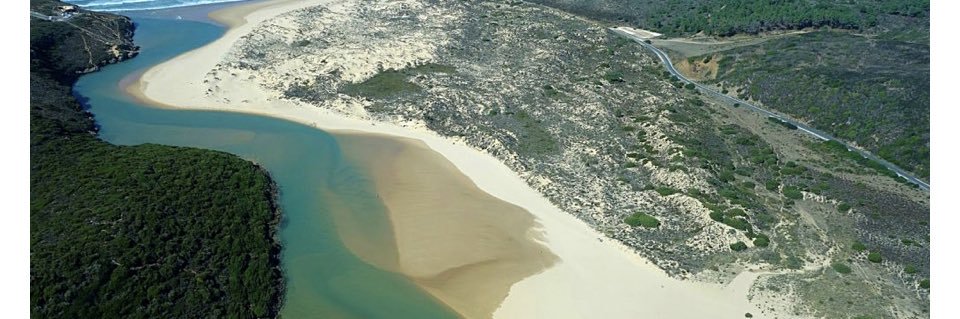 jason 🇮🇱🇮🇱🇮🇱🇮🇱🇮🇱🇮🇱 banner