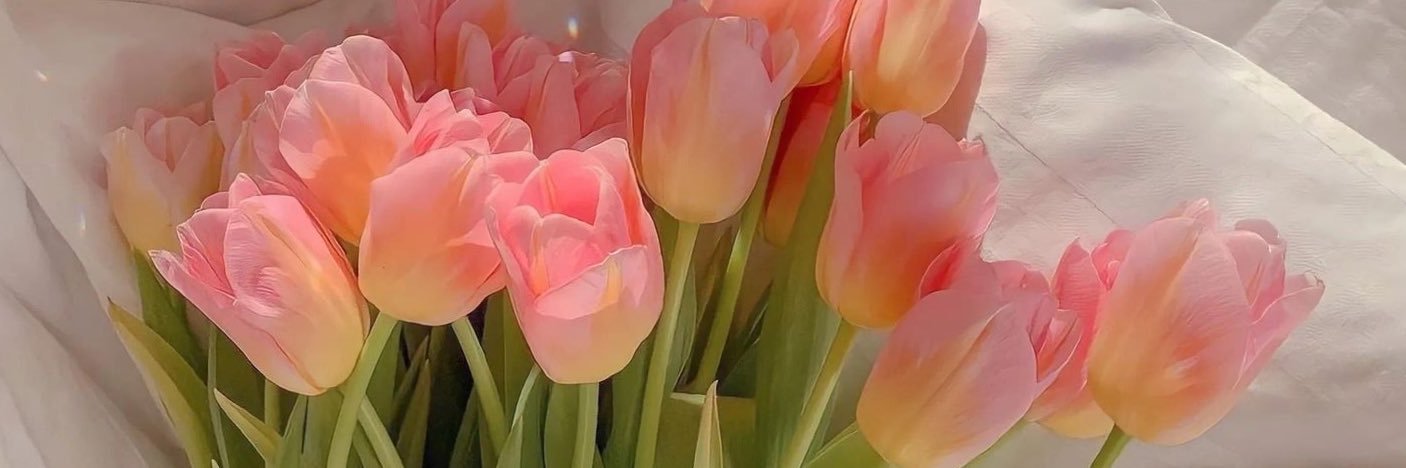 krissy_gallo's profile banner image