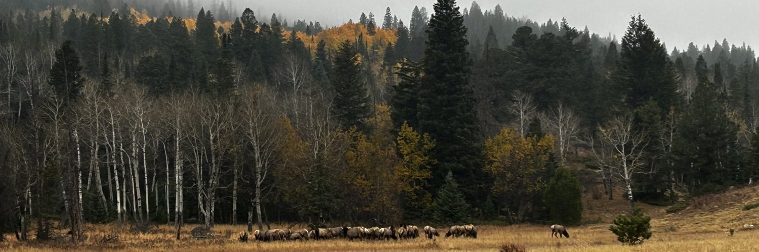 miller061701's profile banner image