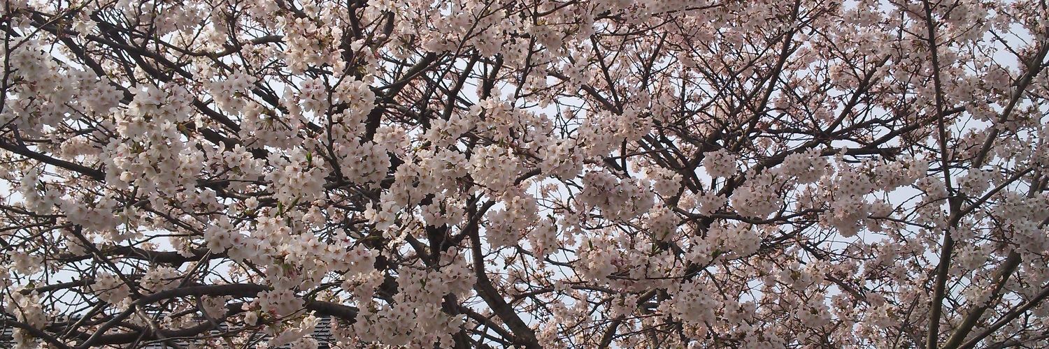 mitsu0104's profile banner image