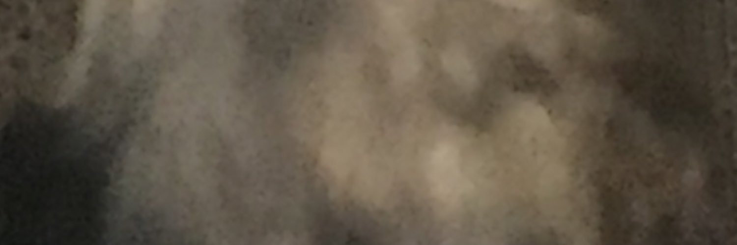 _gochutwigim's profile banner image