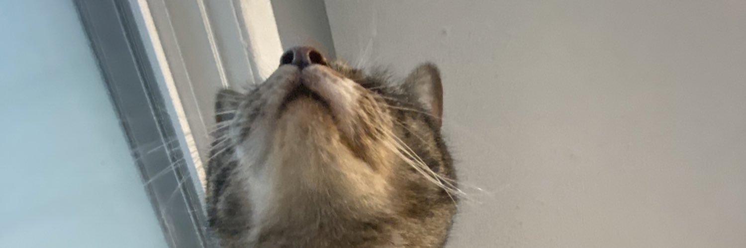 meleneycamper's profile banner image