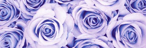 Hanleigh_x's profile banner image