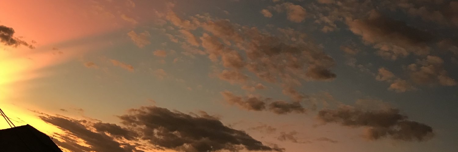 _mariteixeiraf's profile banner image