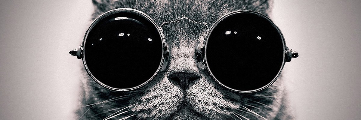 Big Brain Finance banner