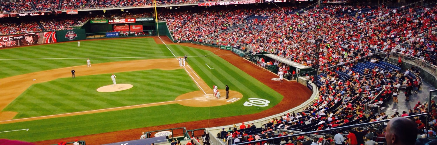 Catalina Camia banner