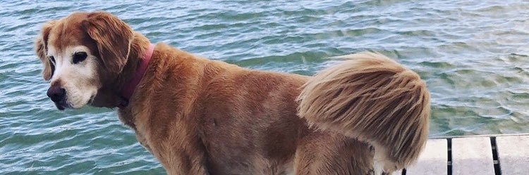 EasyE13_'s profile banner image