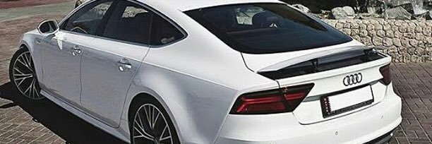 fan_audi banner