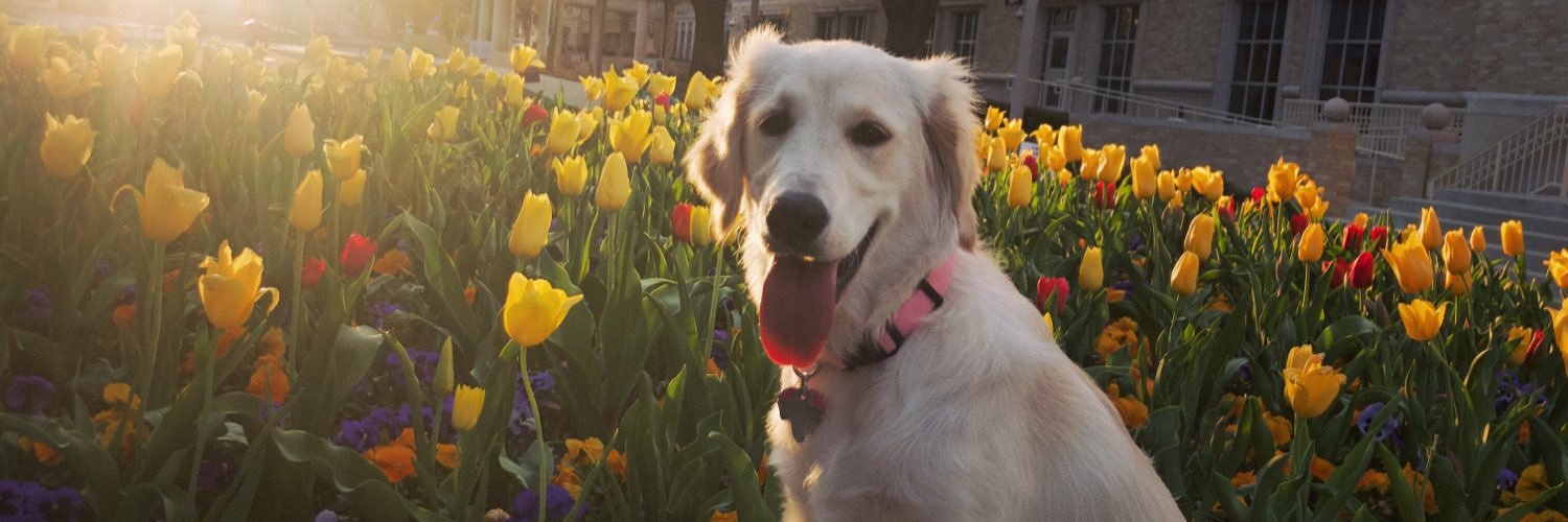johnsonmadison7's profile banner image