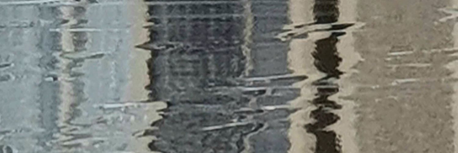 MaríaValdés-EOI banner