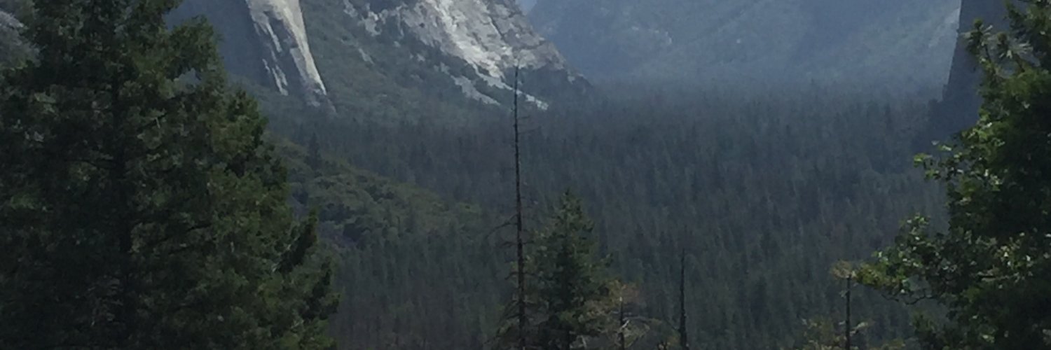zgroberts_'s profile banner image
