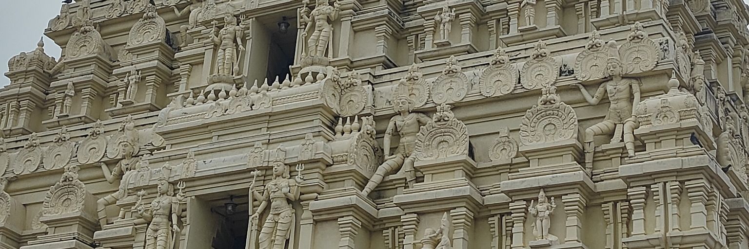 anujkumariims's profile banner image