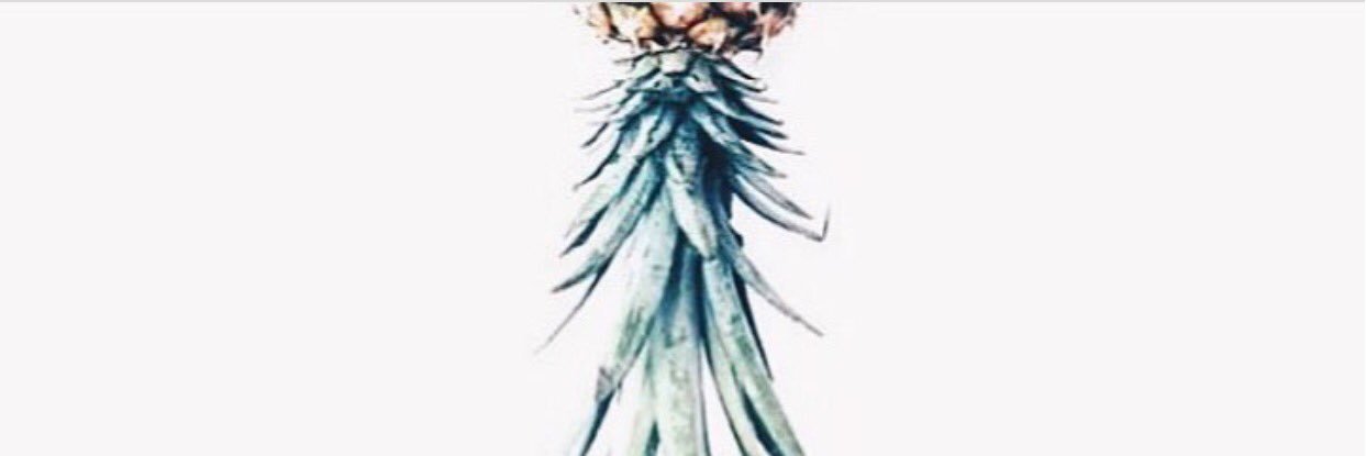 MeganGardner16's profile banner image