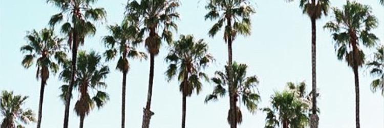 vihgimenez_'s profile banner image