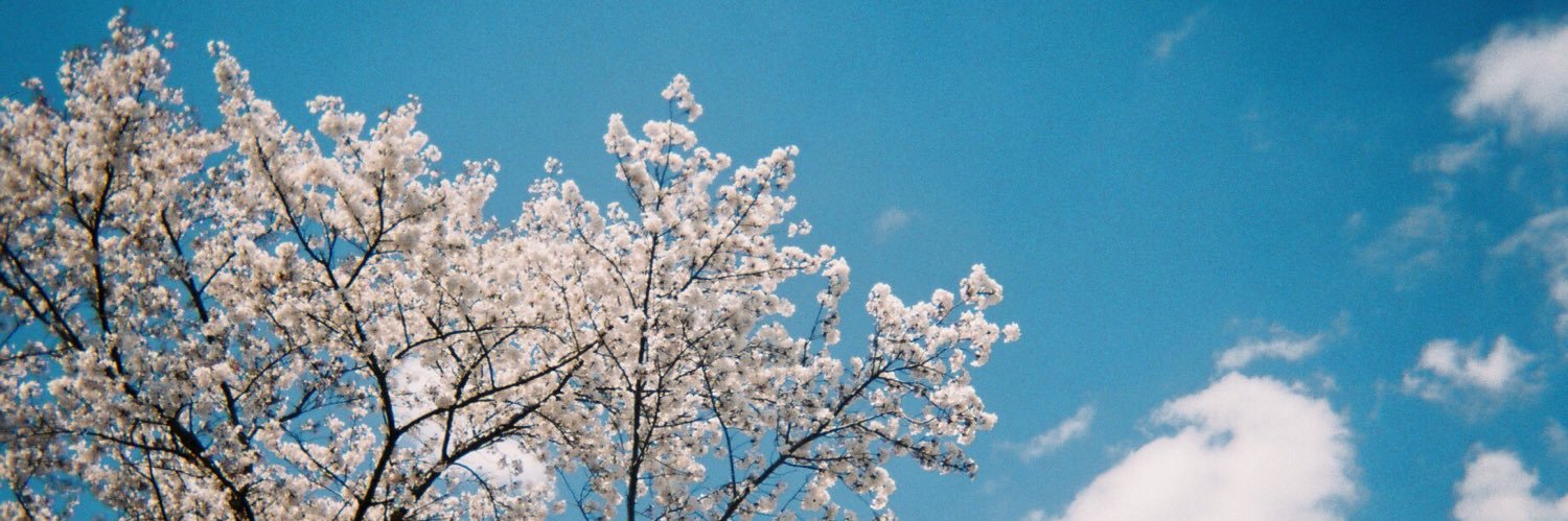 _____ii0523's profile banner image
