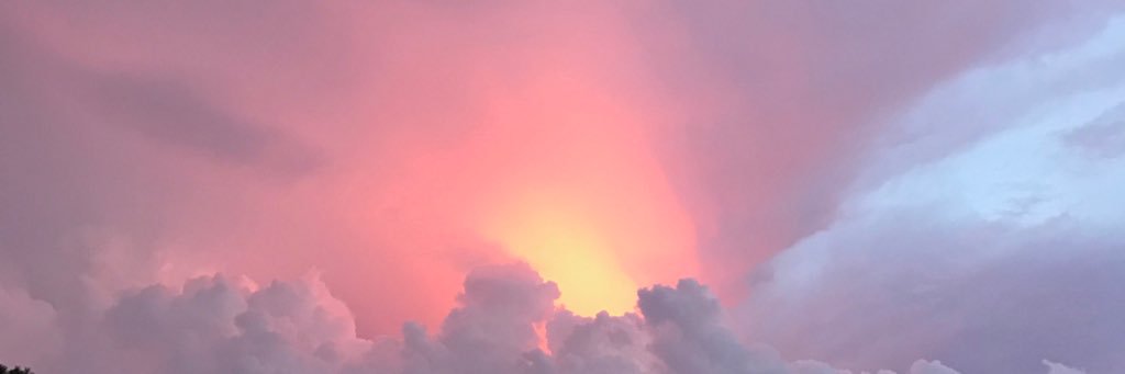 maddyyharrison's profile banner image