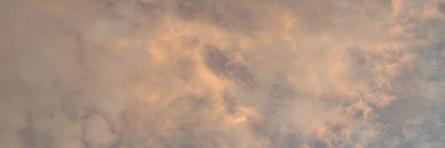 seraphicmeliae's profile banner image