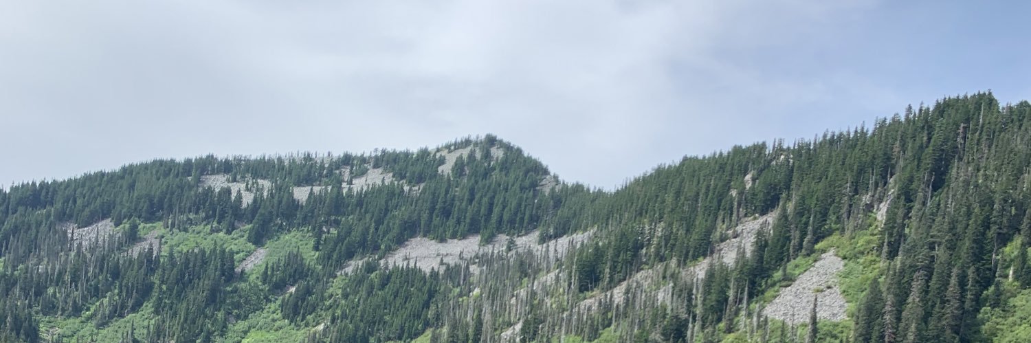 loncartaylor's profile banner image