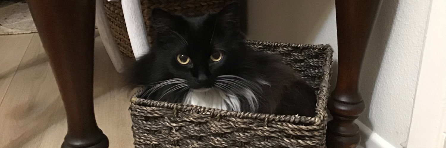 LKettelhut's profile banner image