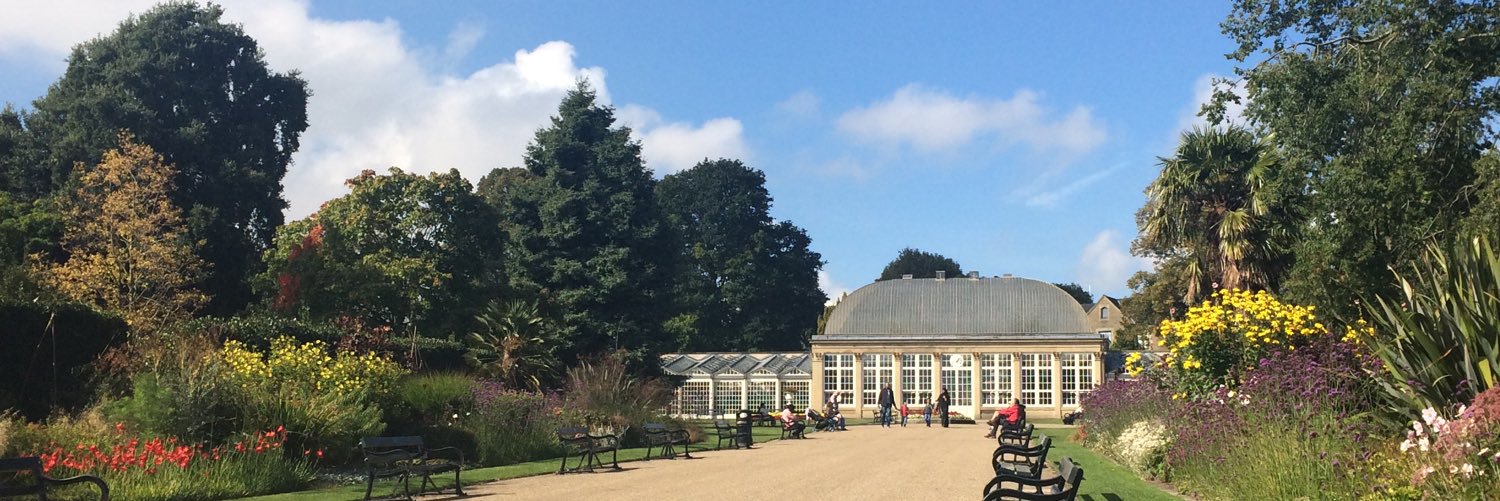 Sheffield Bloggers banner