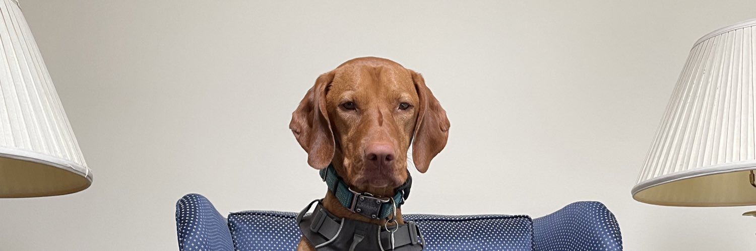 Josh Neighbors banner