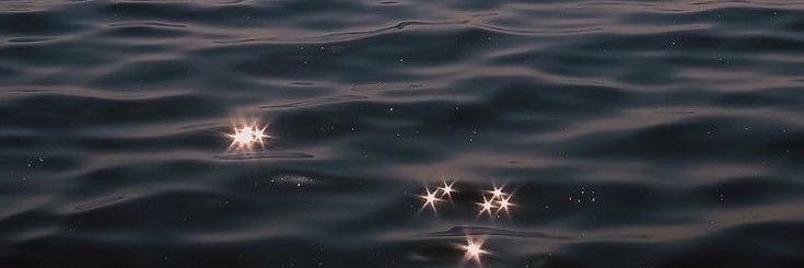 A N D R E A 🦋🤍 banner