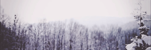 PilarAMur's profile banner image