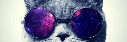 yeelitzaa's profile banner image