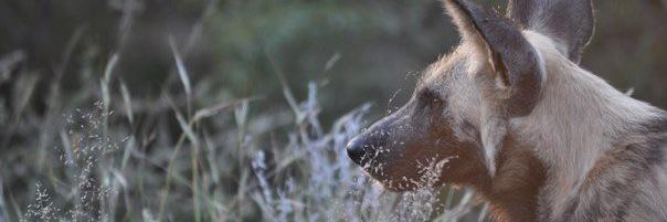 eclairredondo's profile banner image