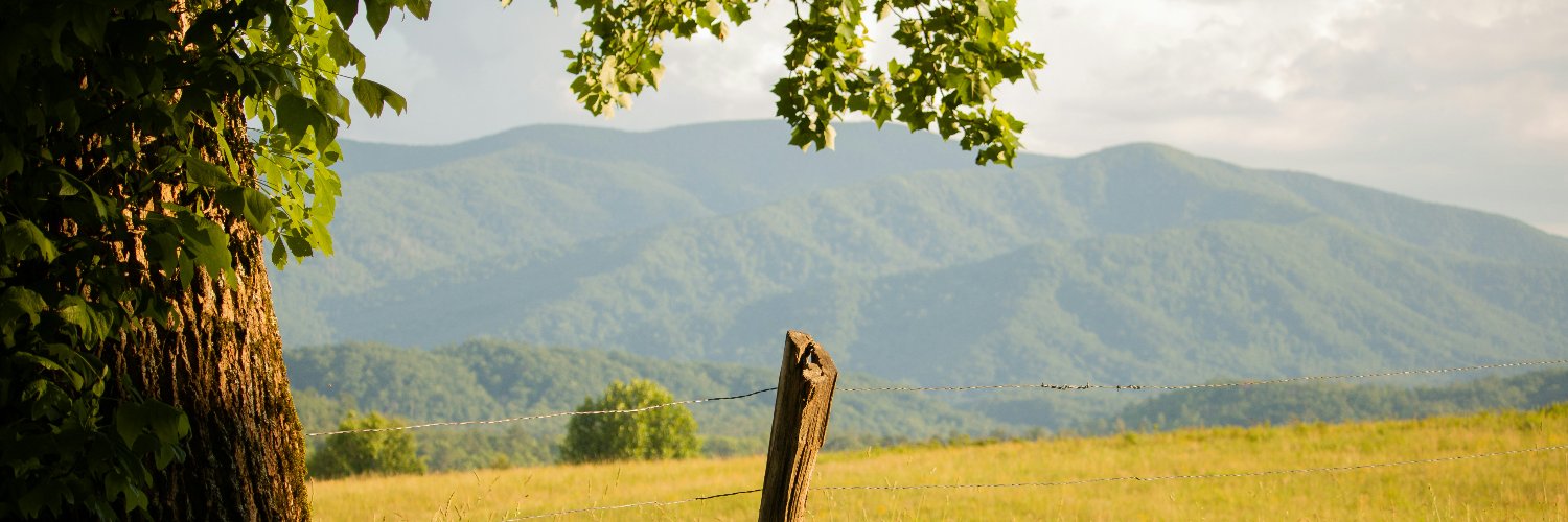 parkeragee's profile banner image