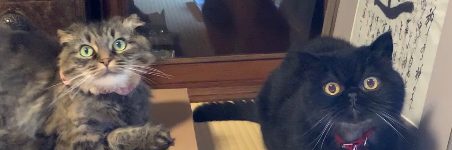 putiponalove's profile banner image