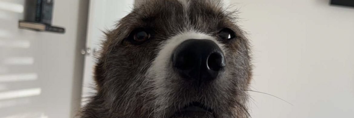 joshhoffman73's profile banner image