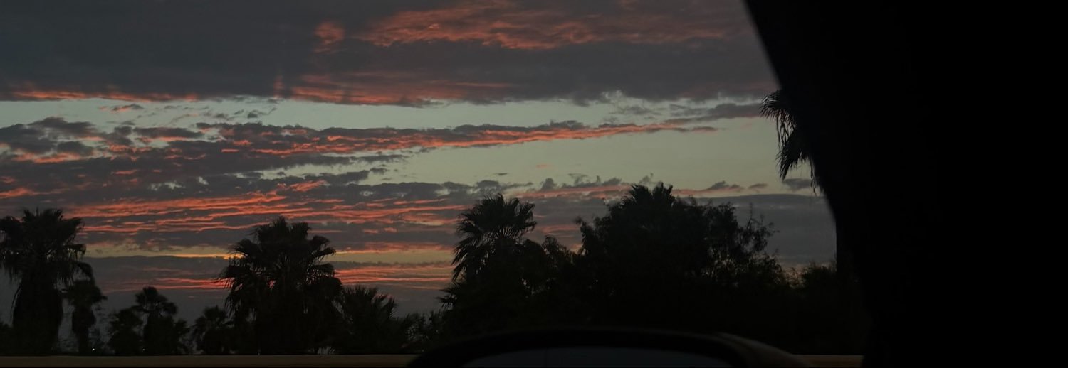 thattscorpihoe's profile banner image
