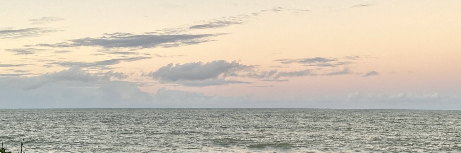 celedoniax's profile banner image